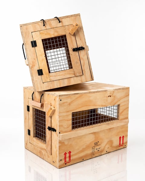 Wooden stacked pet carrier crates with mesh windows and black metal hinges and latches